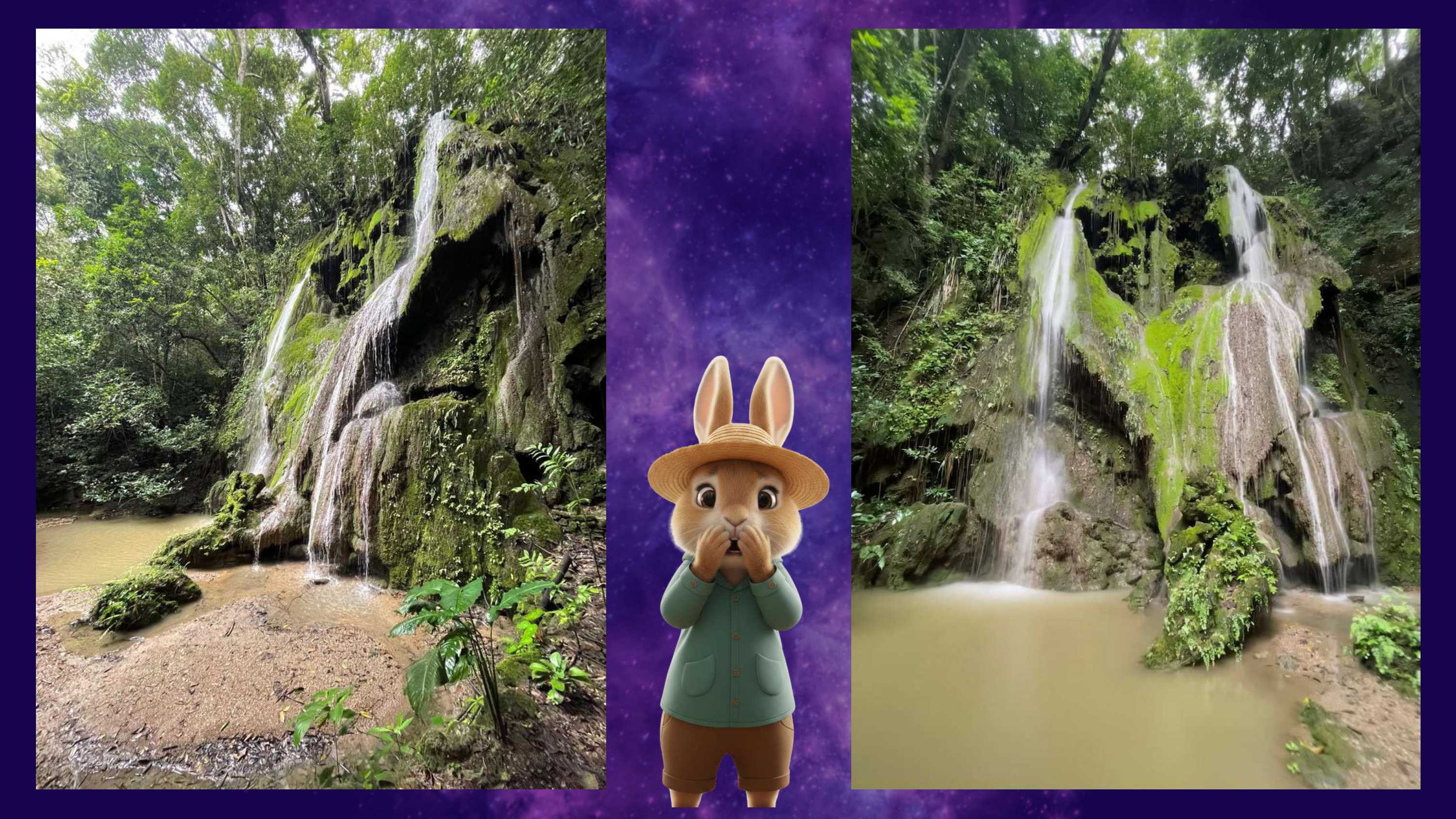 4to Campamento Nacional de Ramas Menores