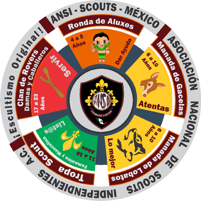 ANSI - Scouts - México